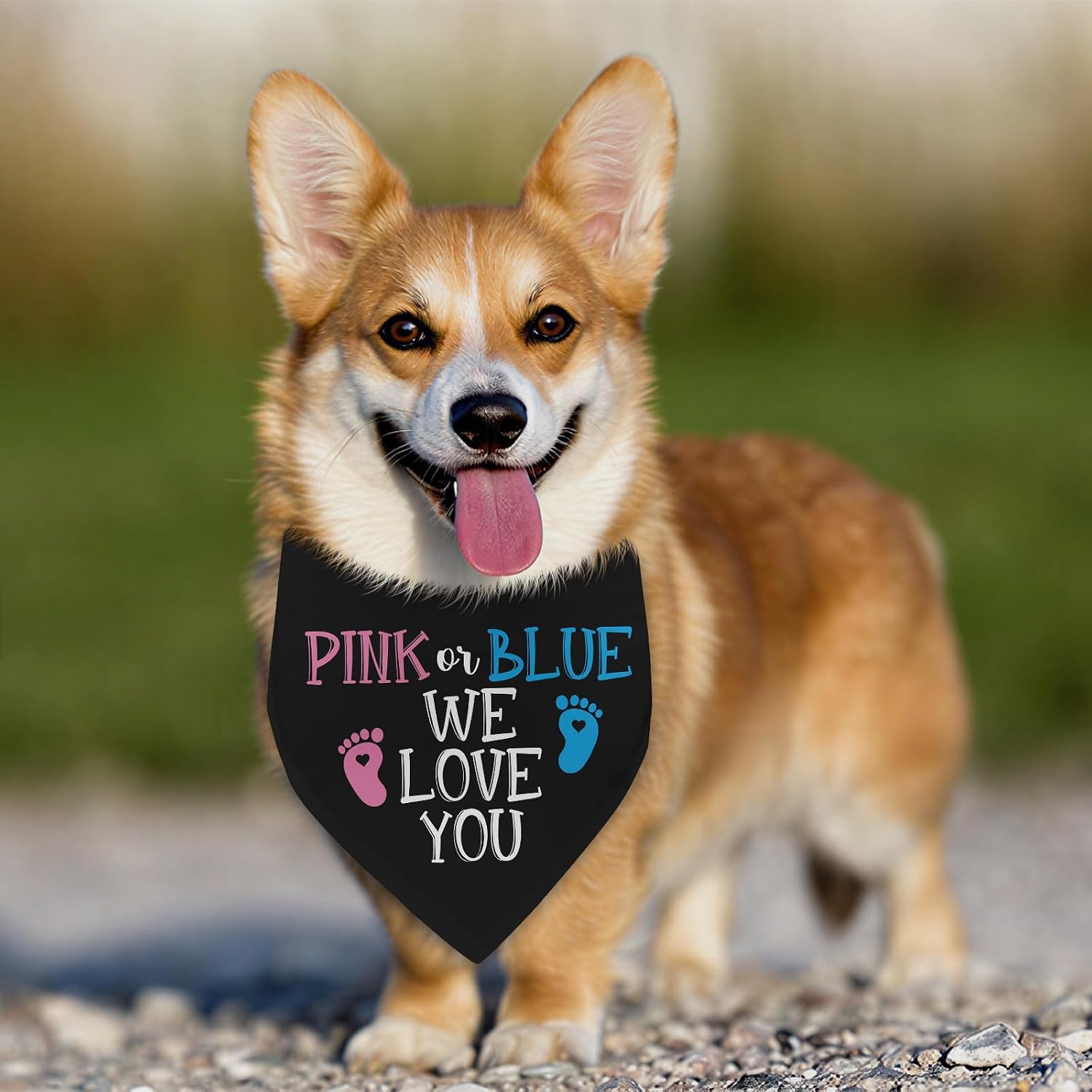 Detalle de Dog Bandana in Polyester