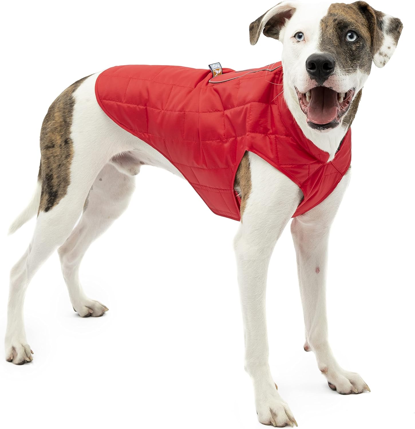 Detalle de Kurgo Loft Hundejacke XL wasserdicht đ