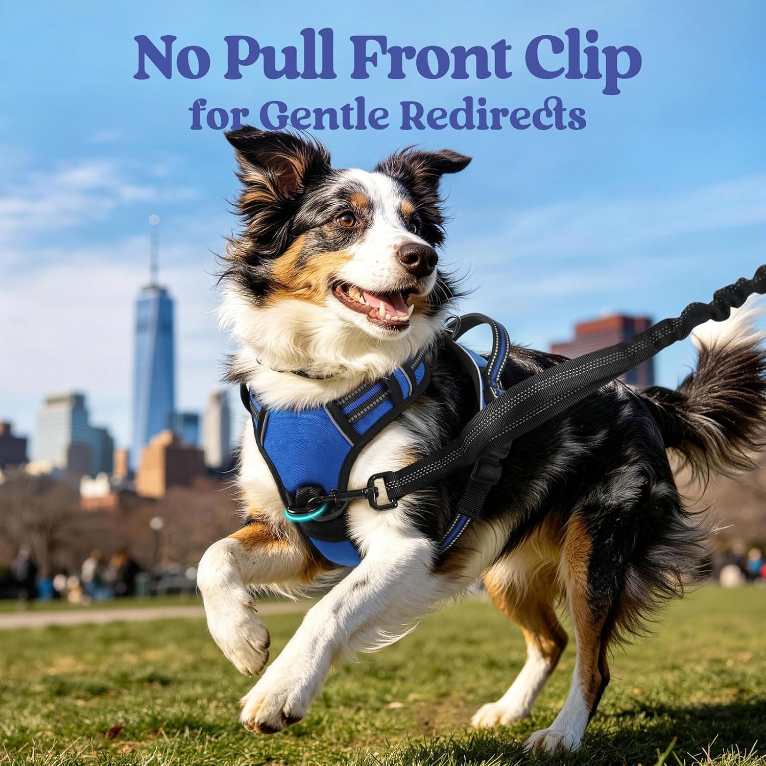 Thumbnail 3 de rabbitgoo No-Pull Dog Harness L, 3 Buckles