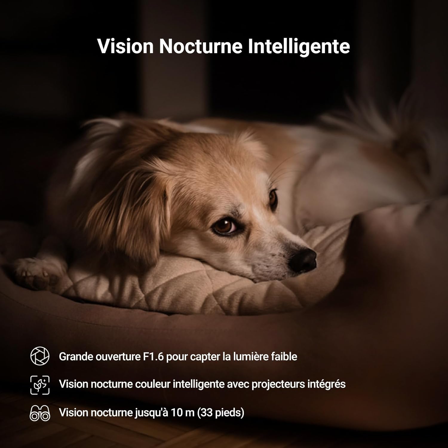 Thumbnail 6 de EZVIZ 3K Caméra Surveillance 360° C6N G1 2PK