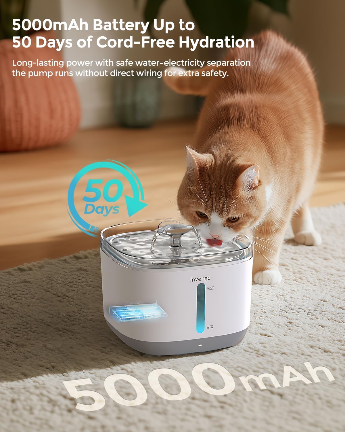 Thumbnail 4 de Invengo Wireless Water Fountain for Cats and Dogs (3L, Stainless Steel)