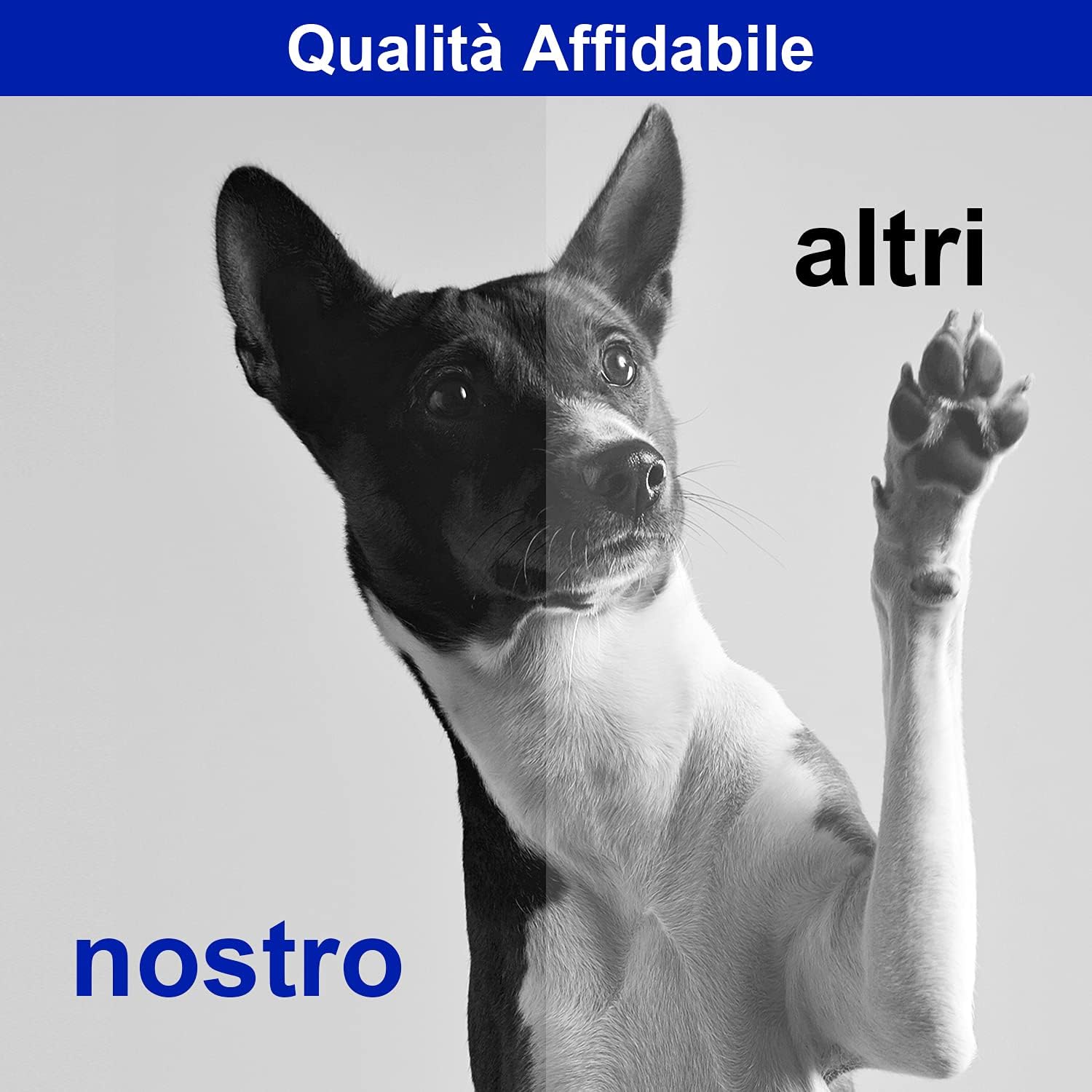 Thumbnail 3 de Koala Compatibili TN1050 Cartucce 3 🖨️