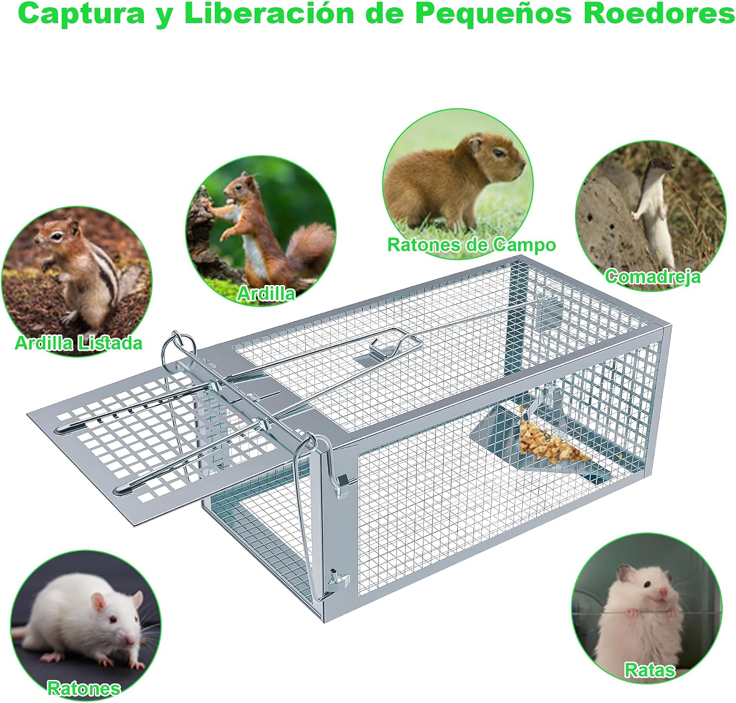 Detalle 2 de Trampa para Ratones Vivo SARSTRY 2 piezas XL – Trampa reutilizable 27×14×12 cm para interiores y exteriores