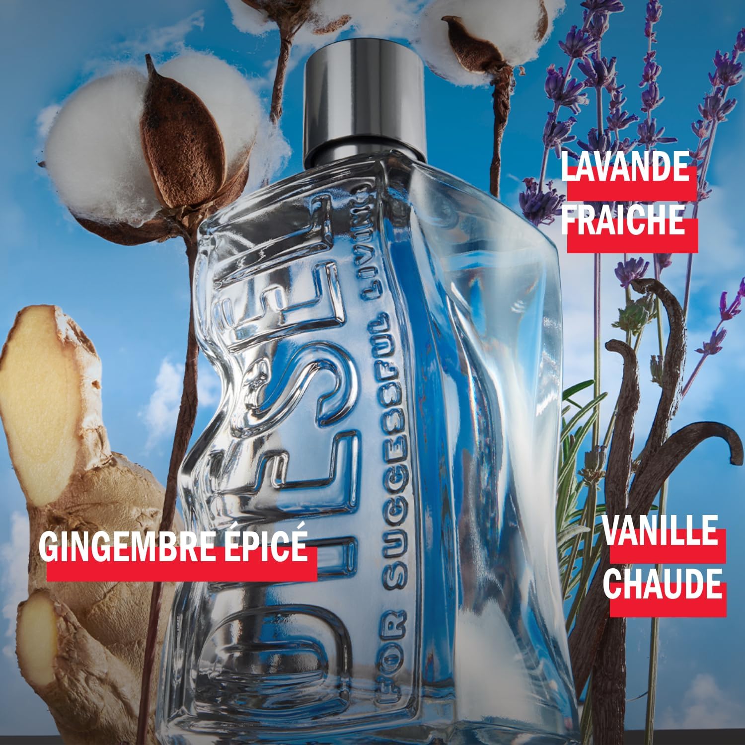 Detalle de D by Diesel Coffret Cadeau Homme – Eau de Toilette & Gel Douche Frais et Énergisant
