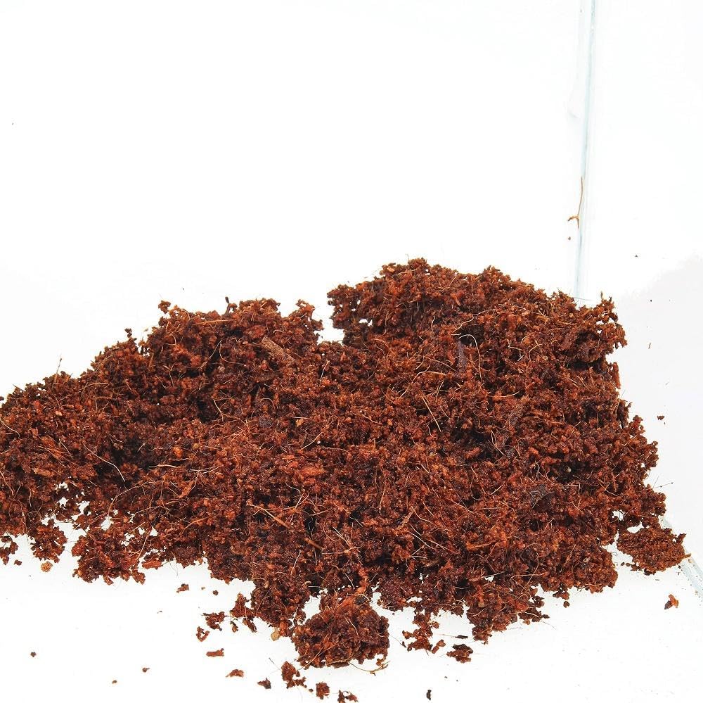Detalle 1 de JBL TerraCoco Humus 71026 – Natürlicher Bodengrund für alle Terrarientypen, 9 L