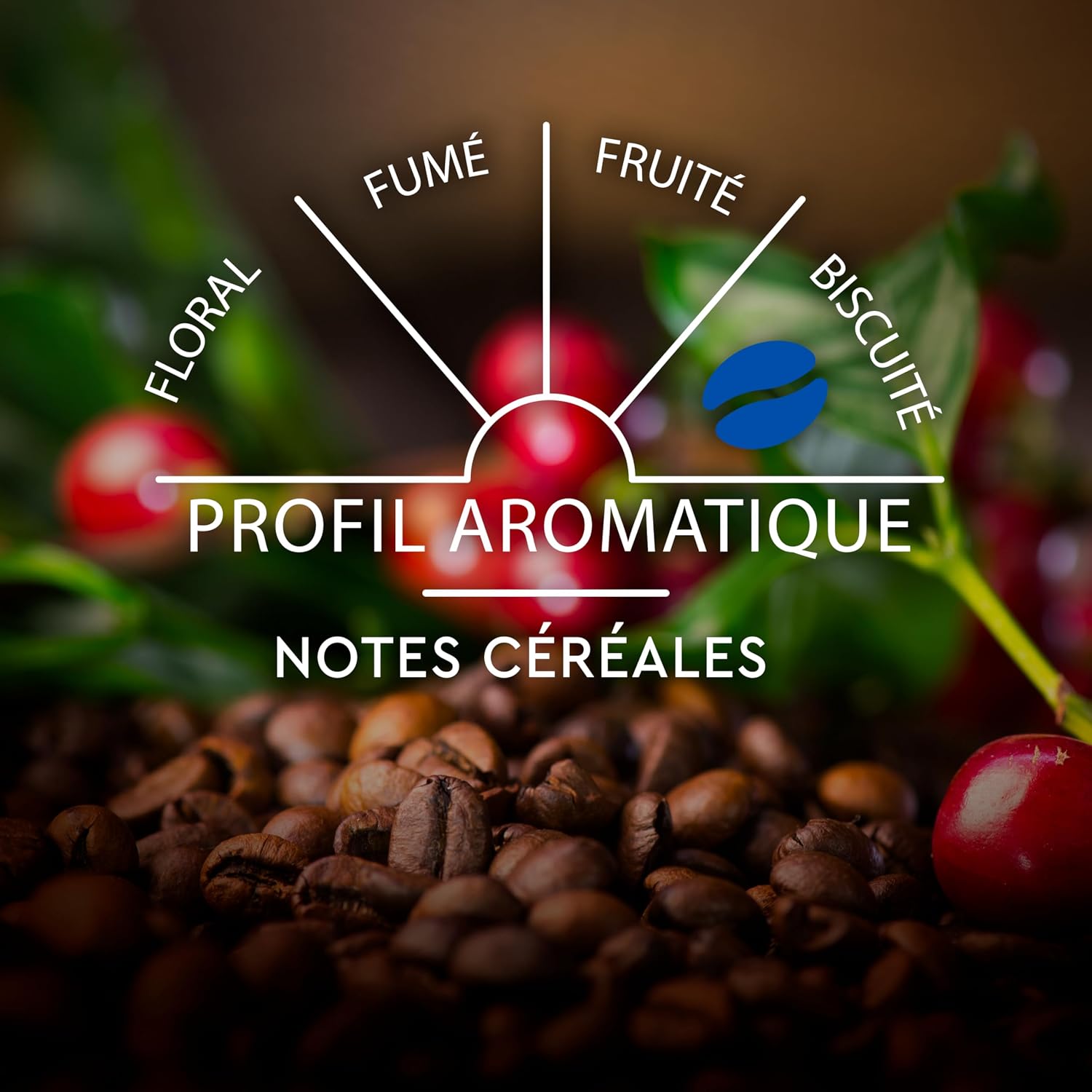 Thumbnail 5 de CARTE NOIRE Capsules Décaféiné N°5 10