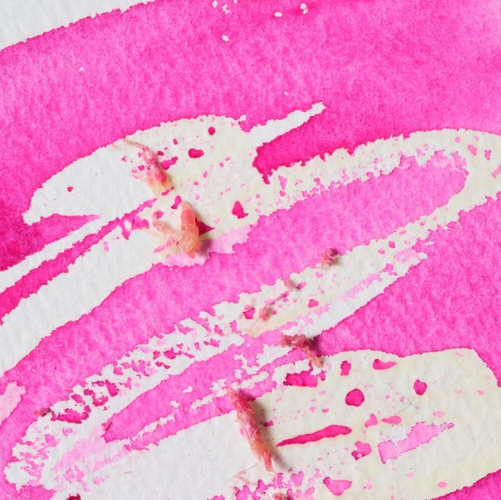 Detalle de Additif Aquarelle Fluide à Masquer Colore 75 ml V2 – Winsor & Newton