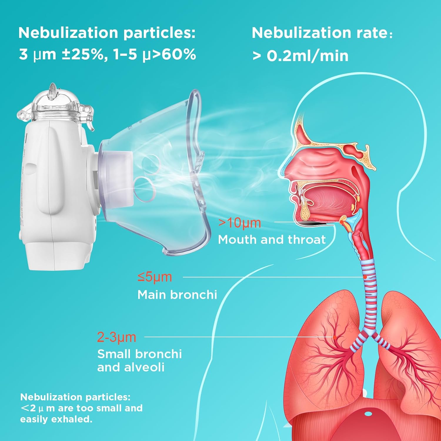 Thumbnail 3 de Ultraschall Nebulizer für Kinder 45 g