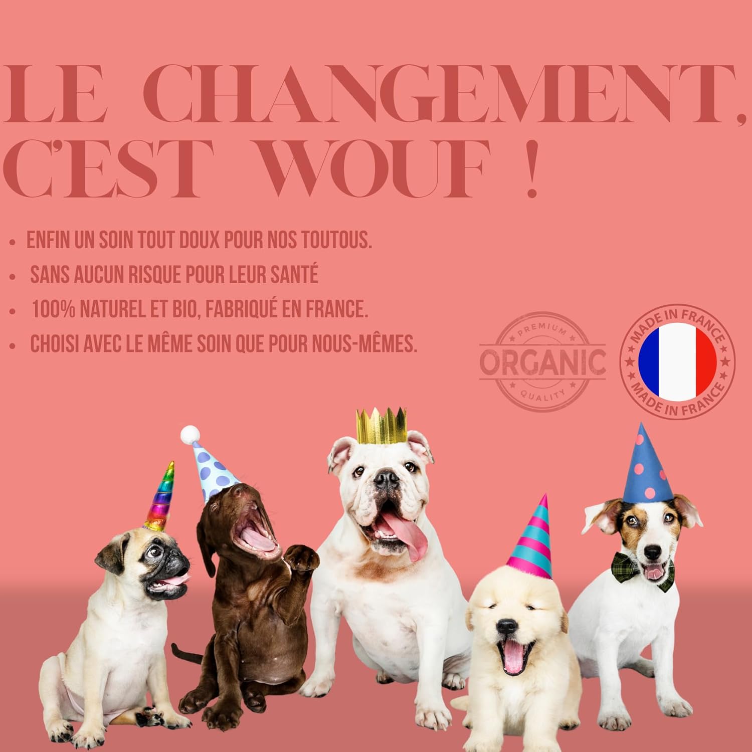 Detalle de Shampoing Chien Bio Aloe Vera & Avoine – Anti-odeur, Peau sensible, Vegan, 300 ml
