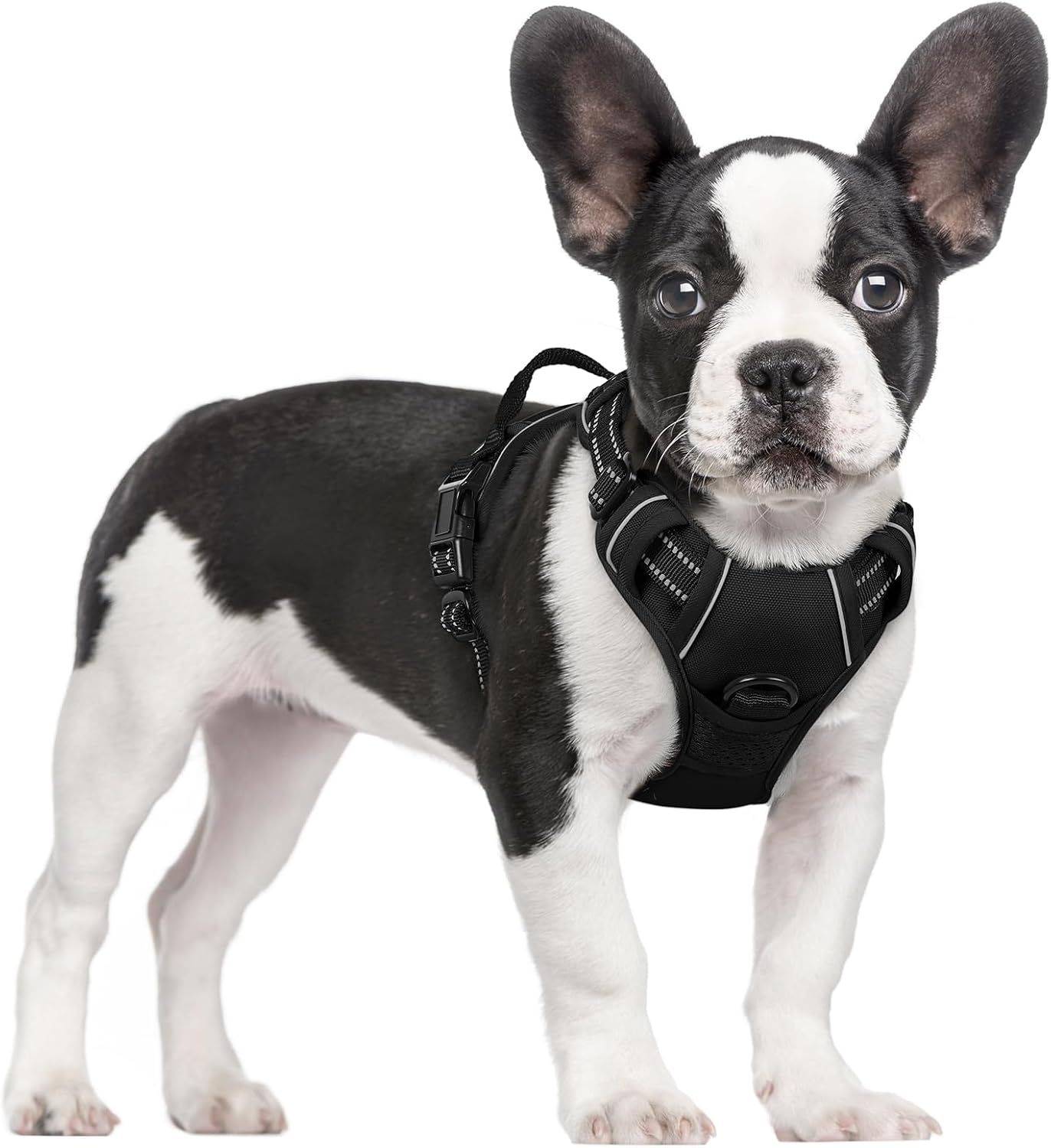 Detalle de rabbitgoo Hundegeschirr S Anti Zug