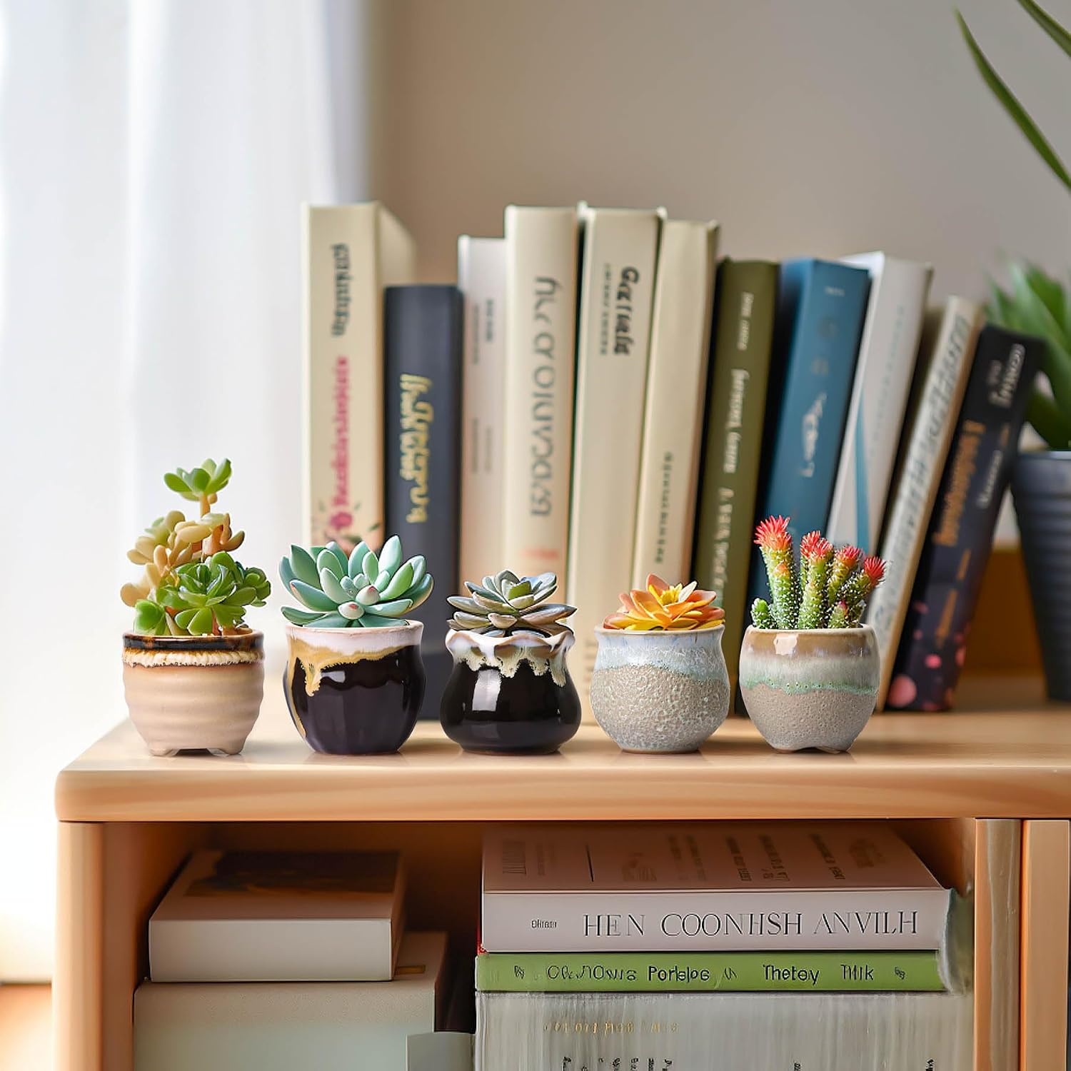 Detalle de T4U Small Ceramic Succulent Pots set of 6