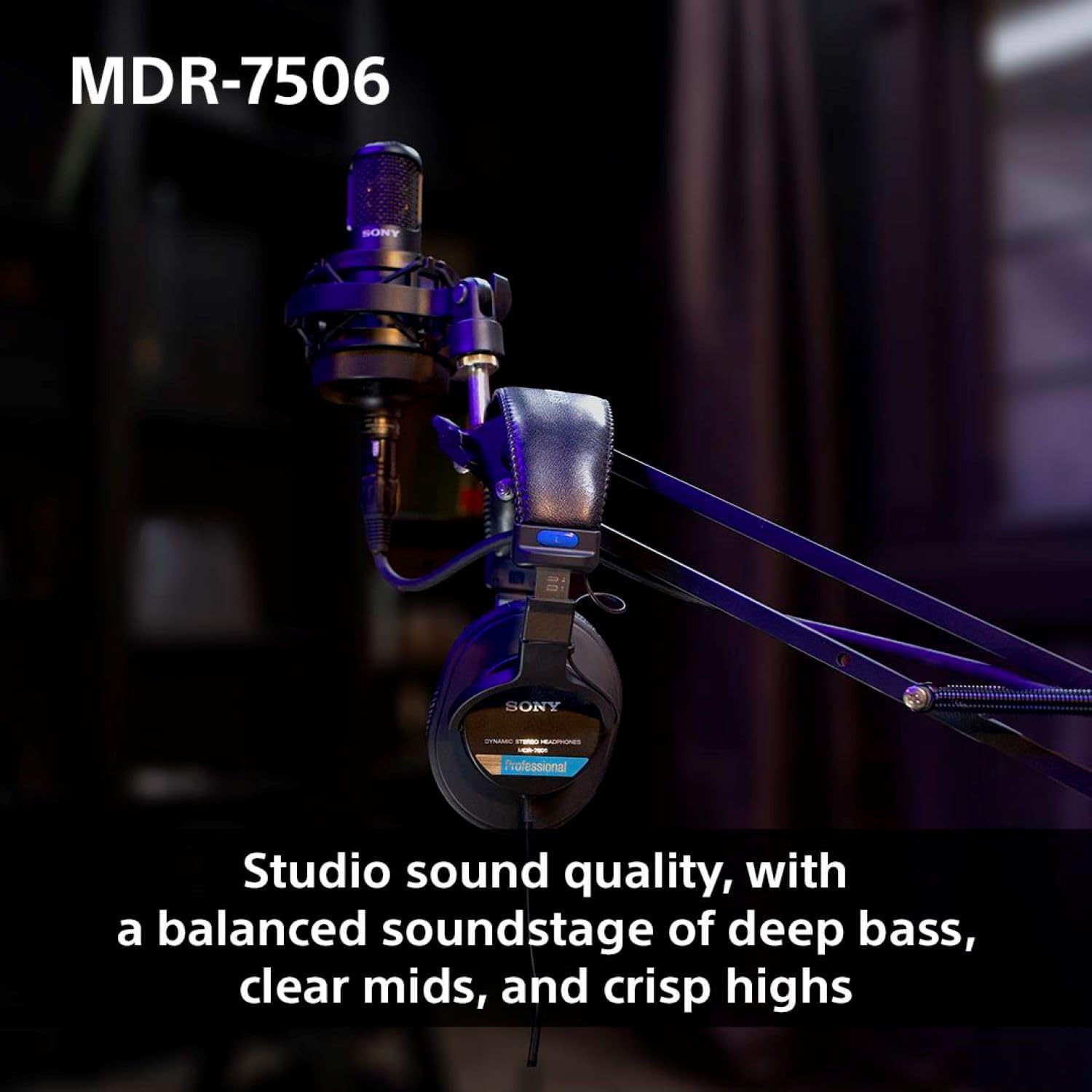 Detalle de Sony MDR7506 Professional Headphones