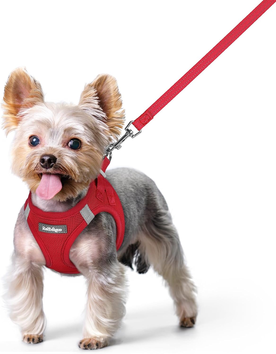 Detalle de rabbitgoo Hundegeschirr 1,56 m