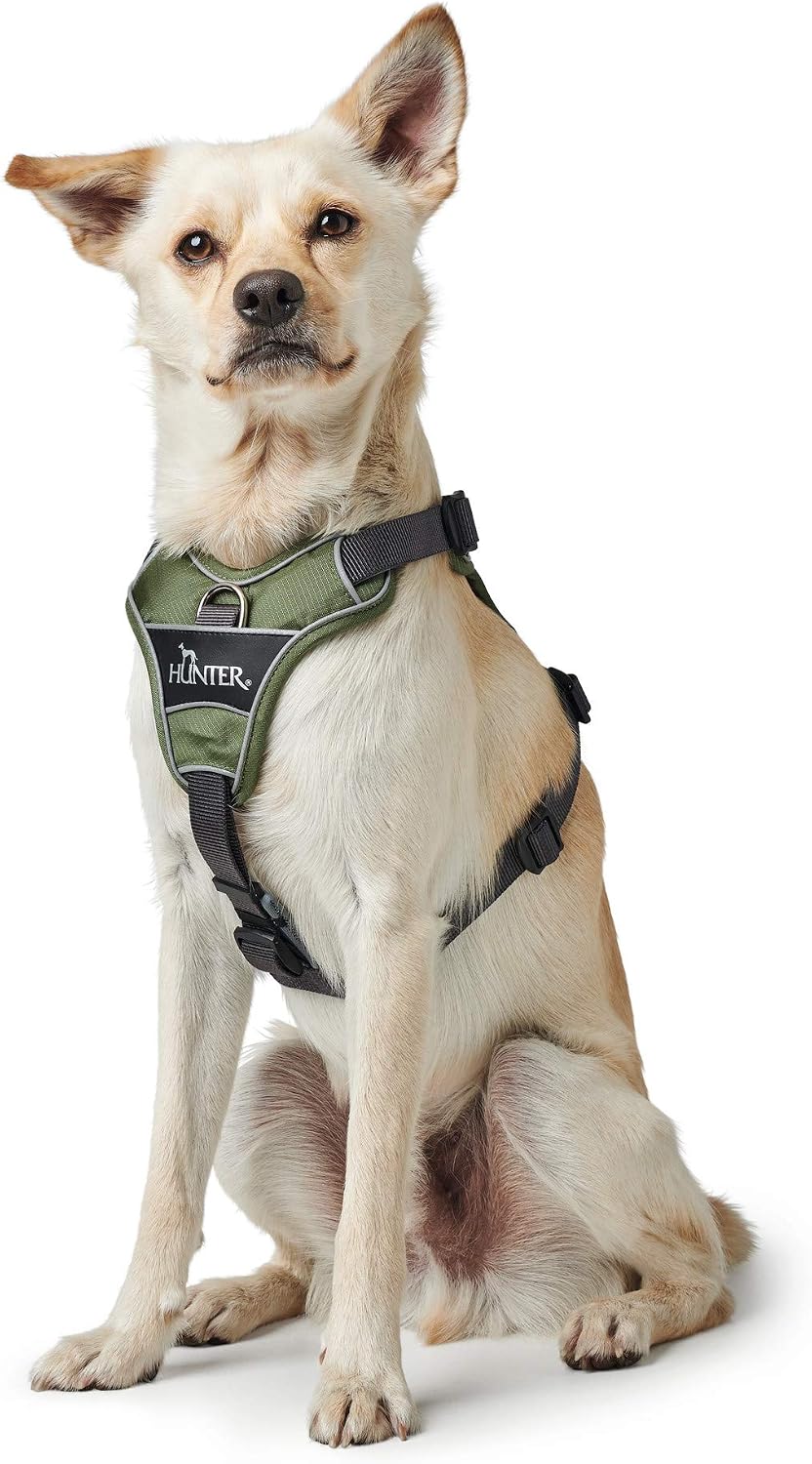 Thumbnail 5 de Hunter Hundegeschirr Grün/Grau 45-56 cm