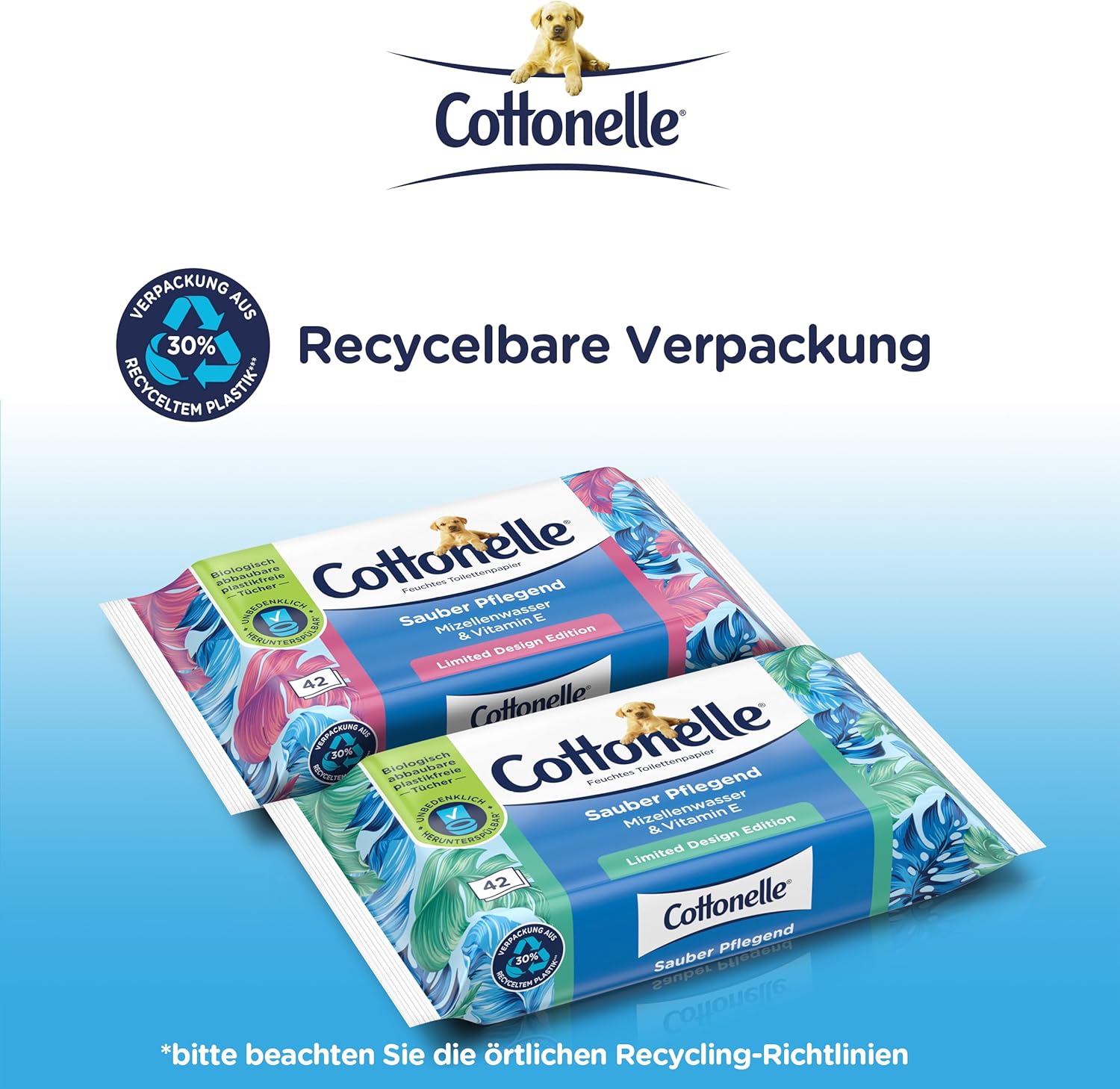 Detalle de Cottonelle Feuchtes Toilettenpapier – Sauber Pflegend mit Wasser-Micelle, 12 x 42 Tücher