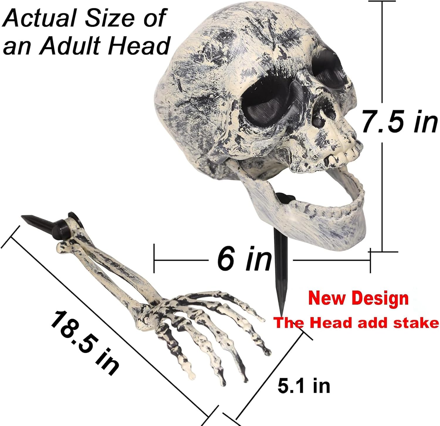 Thumbnail 6 de EddHomes Skeleton Stake 3pcs Halloween Yard Decoration with Adjustable Head and Arms