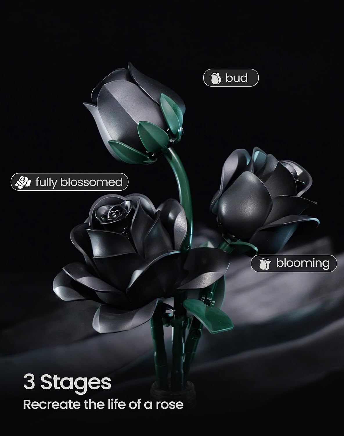 Thumbnail 3 de iATOM Black Rose Bouquet 12Pc 🌹
