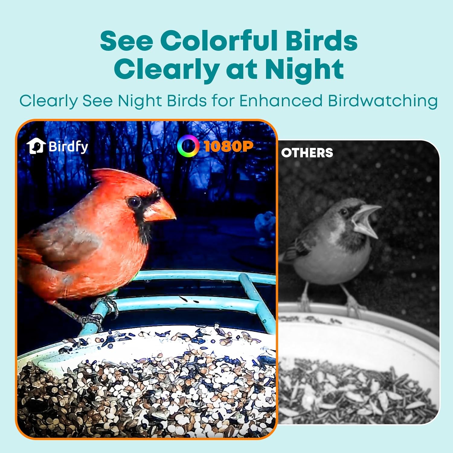 Detalle 2 de NETVUE Birdfy Smart Feeder Camera 1080P