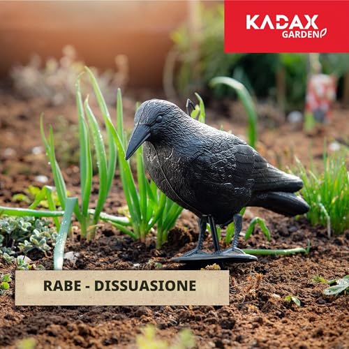 Detalle de KADAX Set di 2 Corvi Scaccia Piccioni – Deterrenti in Plastica per Balcone e Giardino