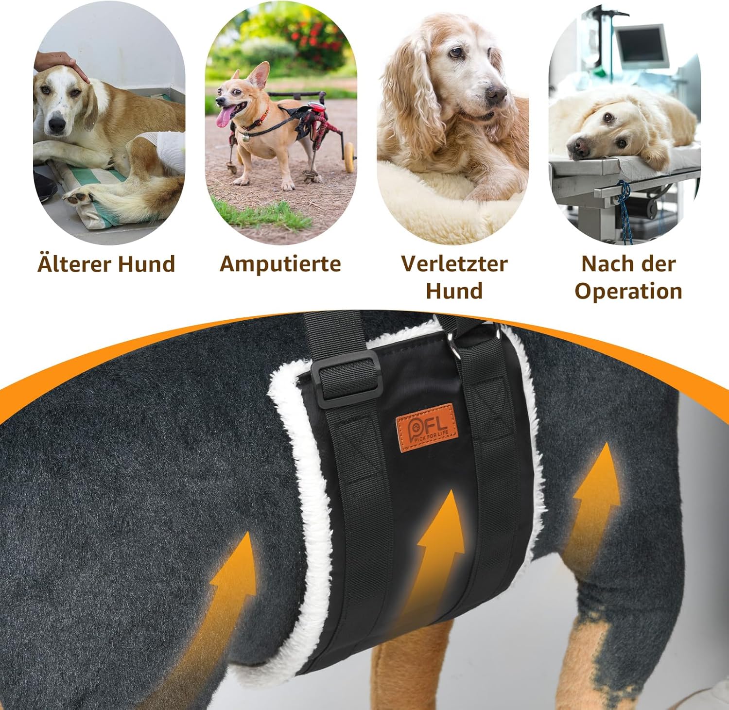 Thumbnail 5 de Verstellbare Hunde Tragehilfe für kleine Hunde