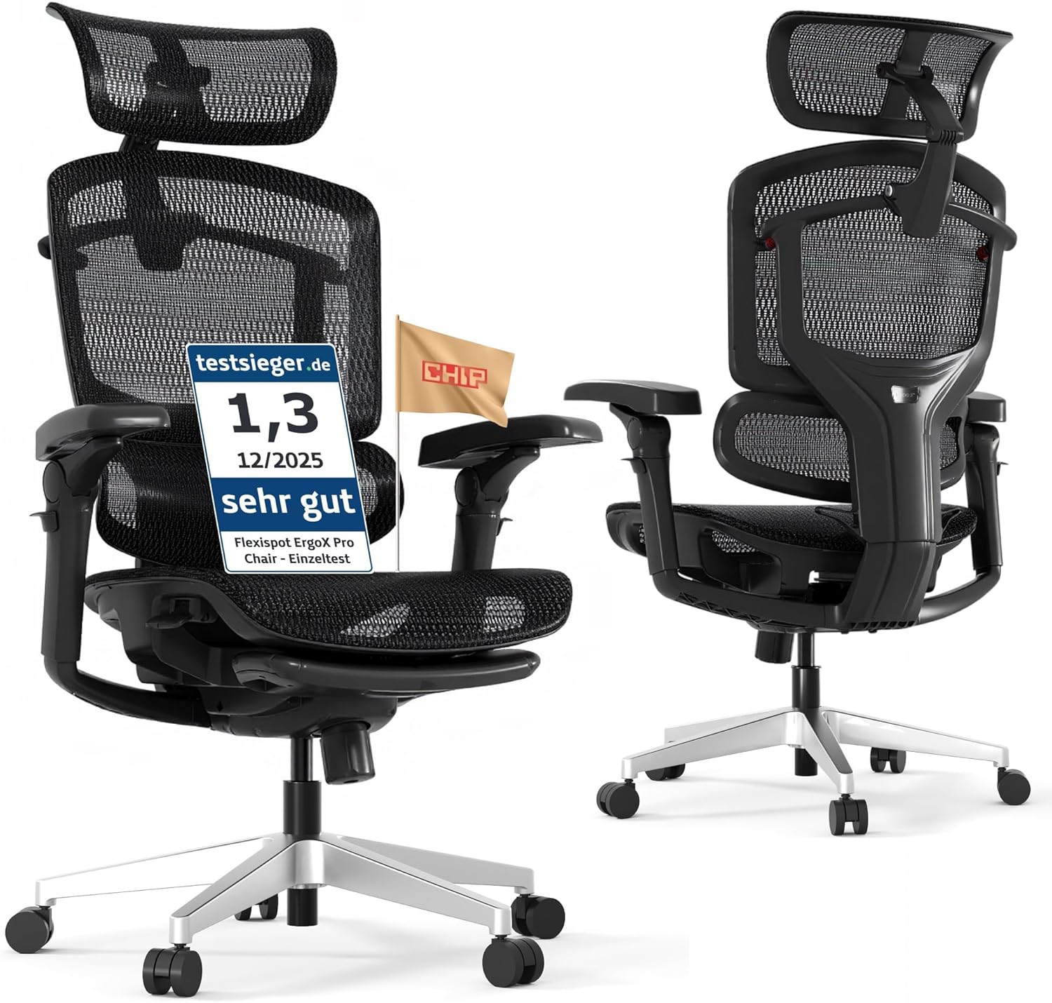 FLEXISPOT ErgoX Pro Ergonomic Office Chair
