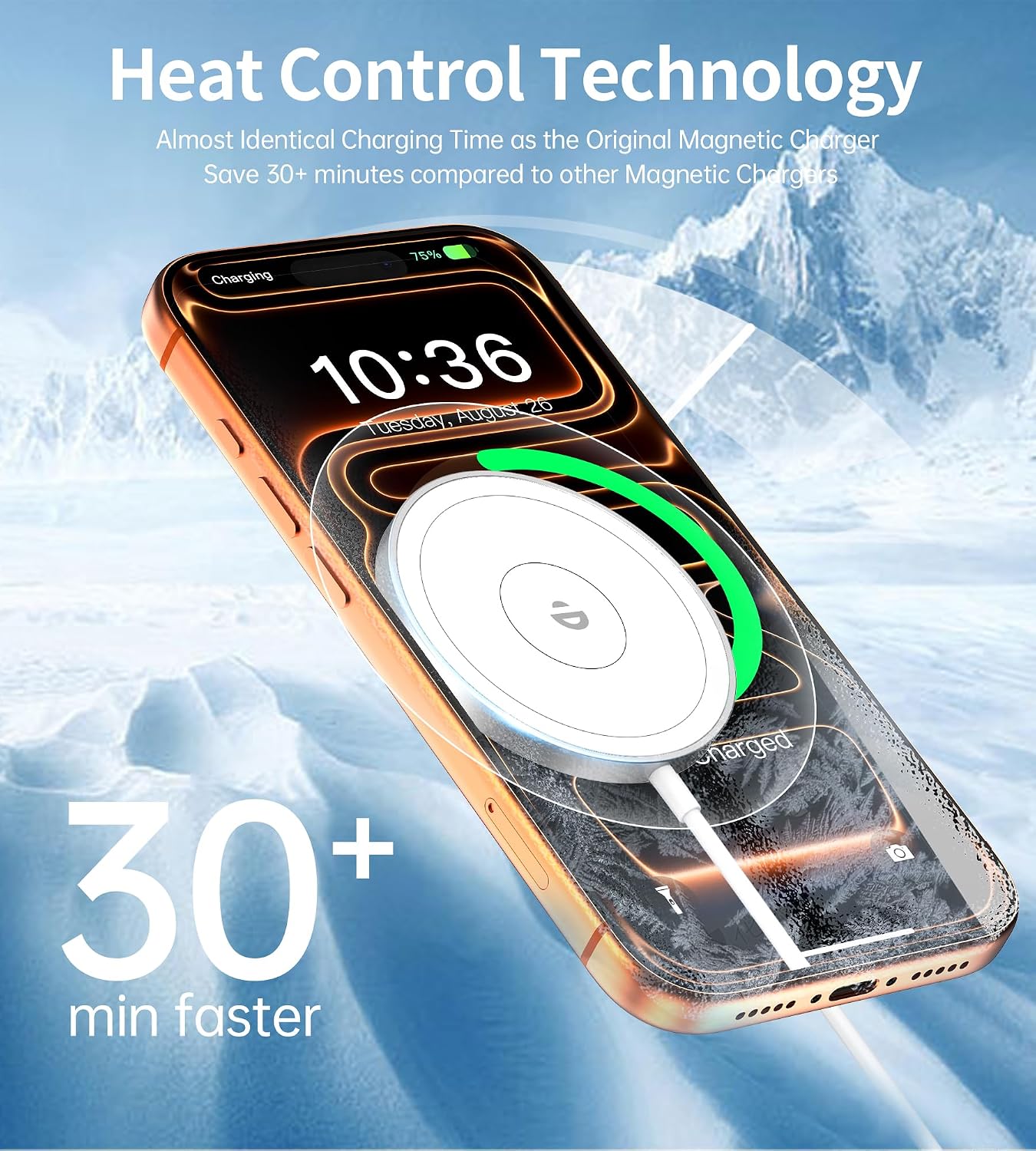 Detalle 2 de RoRoSkin Mag Safe Ladegerät 20W