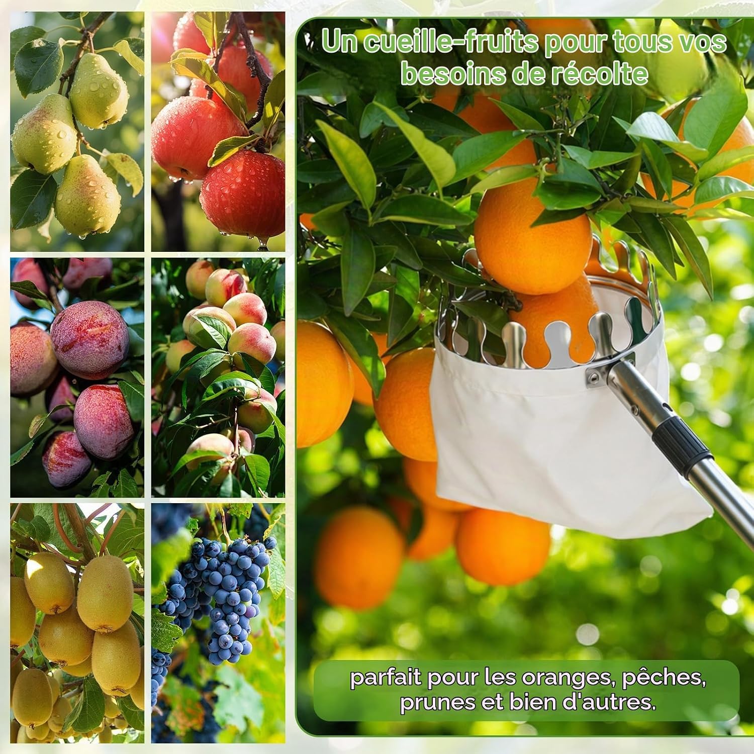 Thumbnail 6 de EclipseGuard telescopische fruitplukker tot 4,2 m met katoenen zak