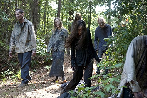Thumbnail 10 de The Walking Dead: Temporada 4 en Blu-ray – Cameo