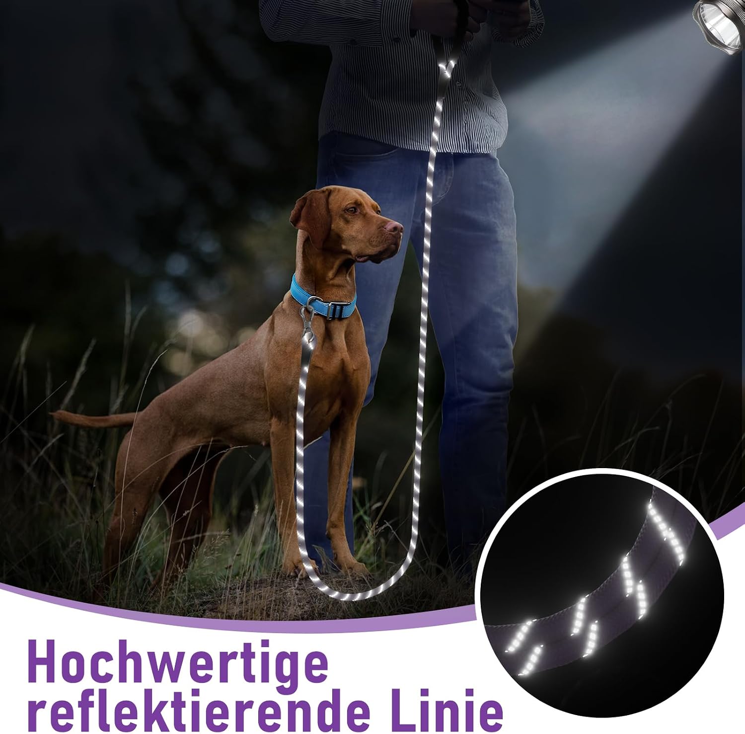 Thumbnail 5 de XXBEN Schleppleine für Hunde mit gepolstertem Griff, 10 m – mit abschließbarem Karabiner