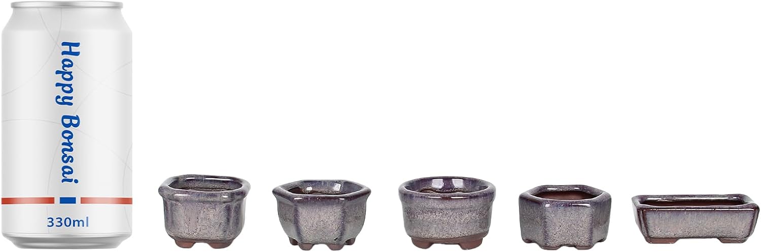 Thumbnail 4 de Happy Bonsai 10 Mini Glazed Pots 4.5cm