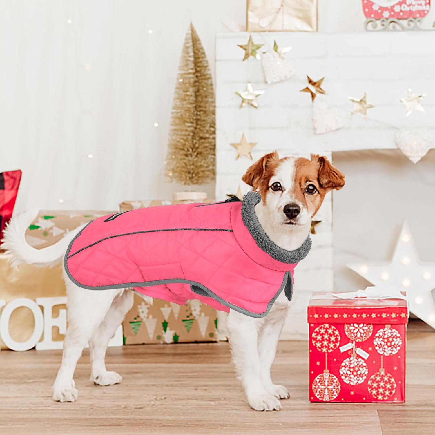Thumbnail 6 de Fragralley Dog Coat, 3XL