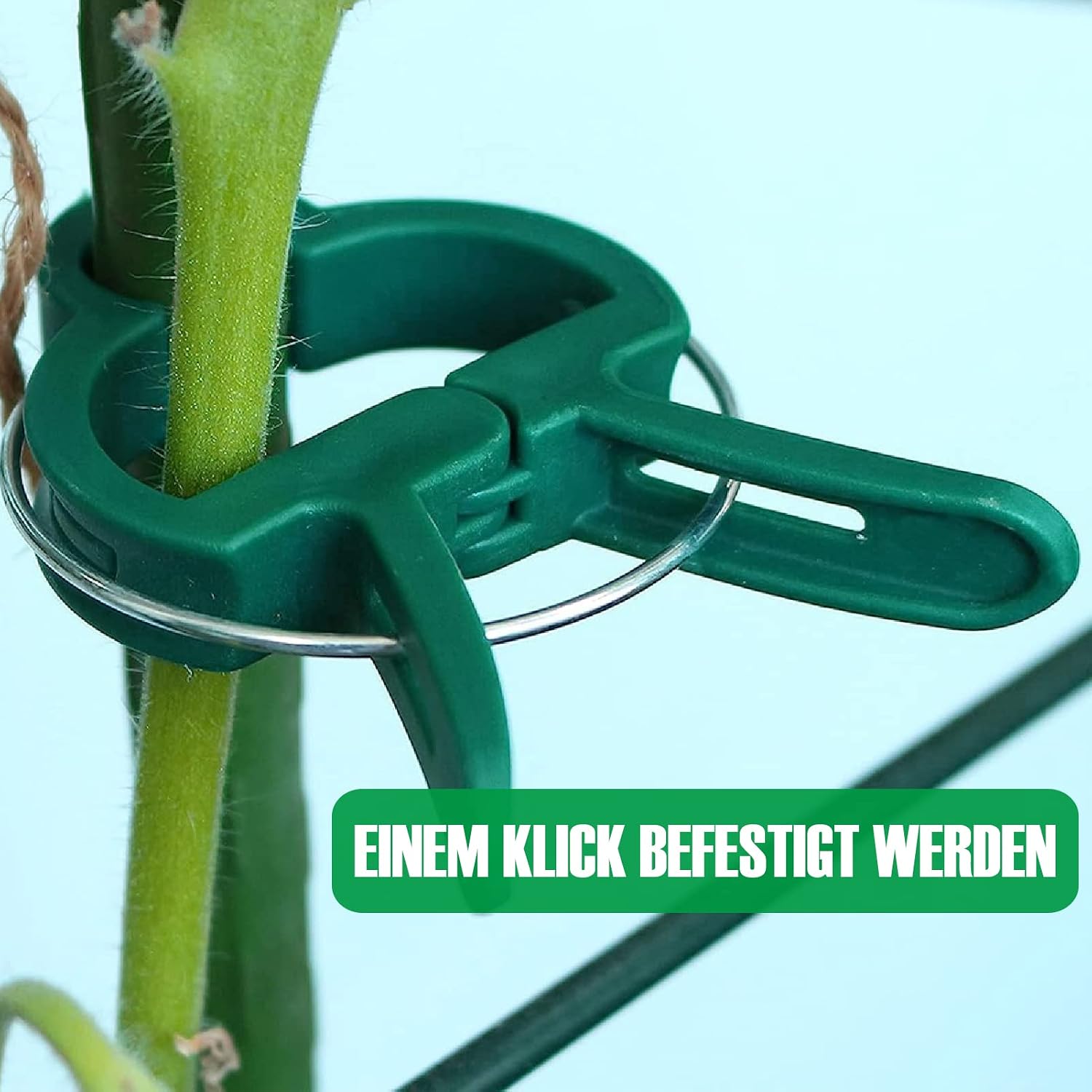 Detalle de Miuezuth 48 Stück Pflanzenclips – Stabile Rankhilfe für Tomaten, Gurken, Kletterrosen und andere Rankpflanzen (24 große + 24 kleine)