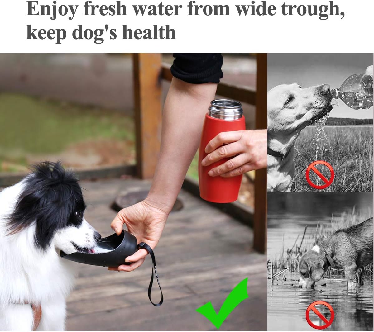 Detalle 2 de VIVAGLORY Pawhike Hundetrinkflasche – 750 ml Edelstahl, auslaufsicher, tragbar