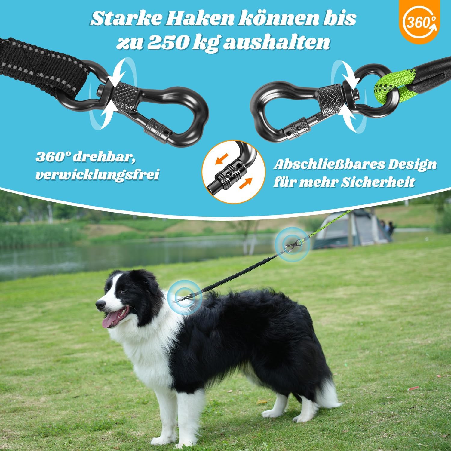 Detalle de Aystkniet Schleppleine 5 m für Hunde