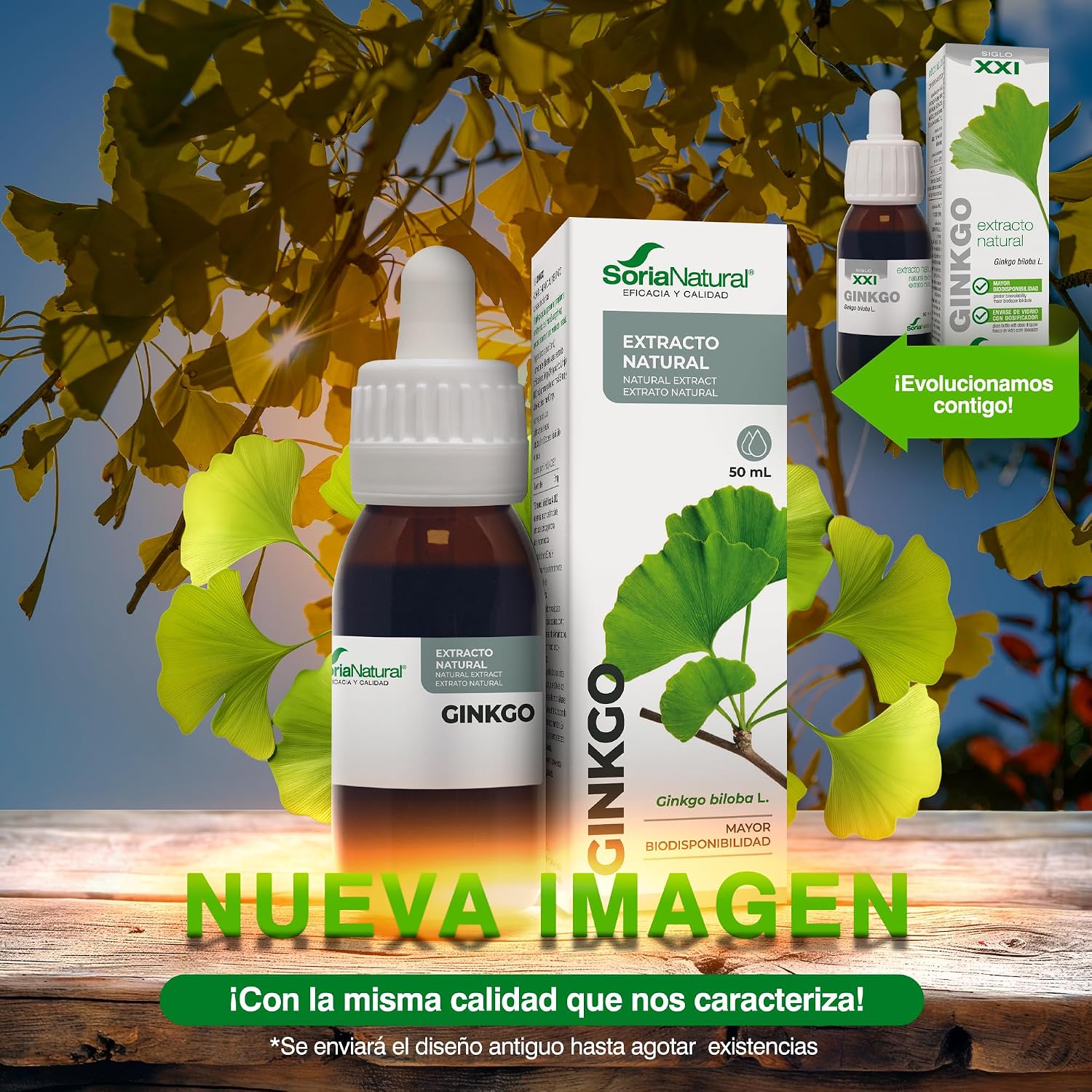 Detalle 2 de Soria Natural Ginkgo Biloba Extracto 50 ml