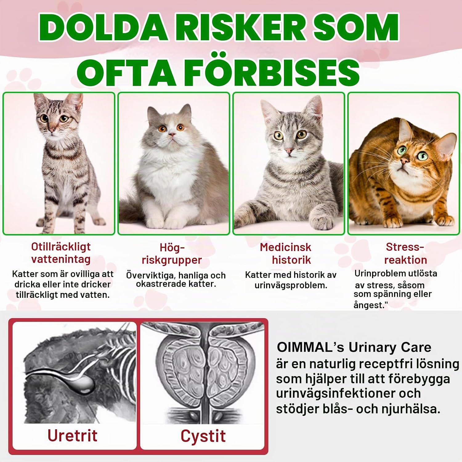 Detalle 2 de RoongDuuDll urinstöd för katt, droppar med tranbärsextrakt, 60 ml