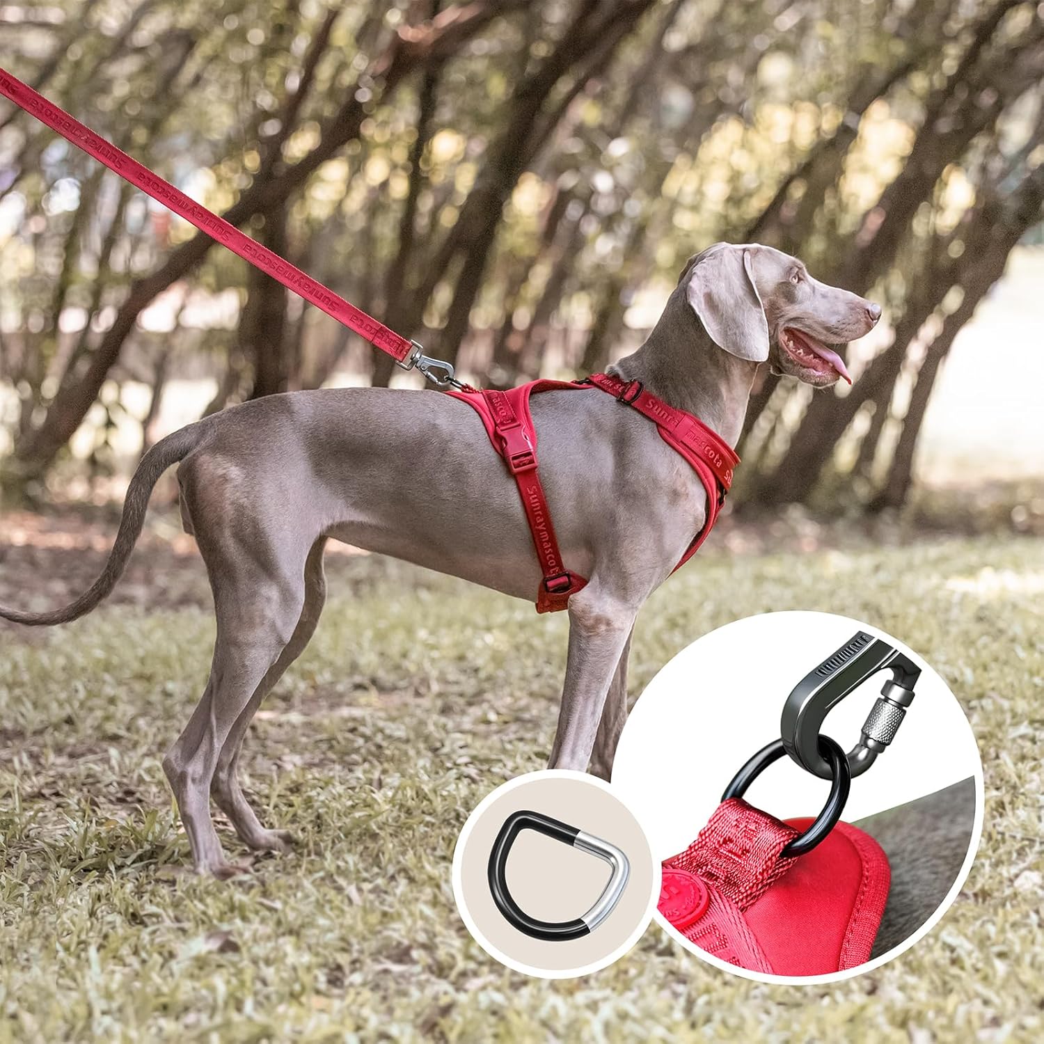Thumbnail 6 de Sunraymascota Imbracatura per cani con imbottitura in Lycra, gilet traspirante in rete, taglia XS (Rosso di Borgogna)