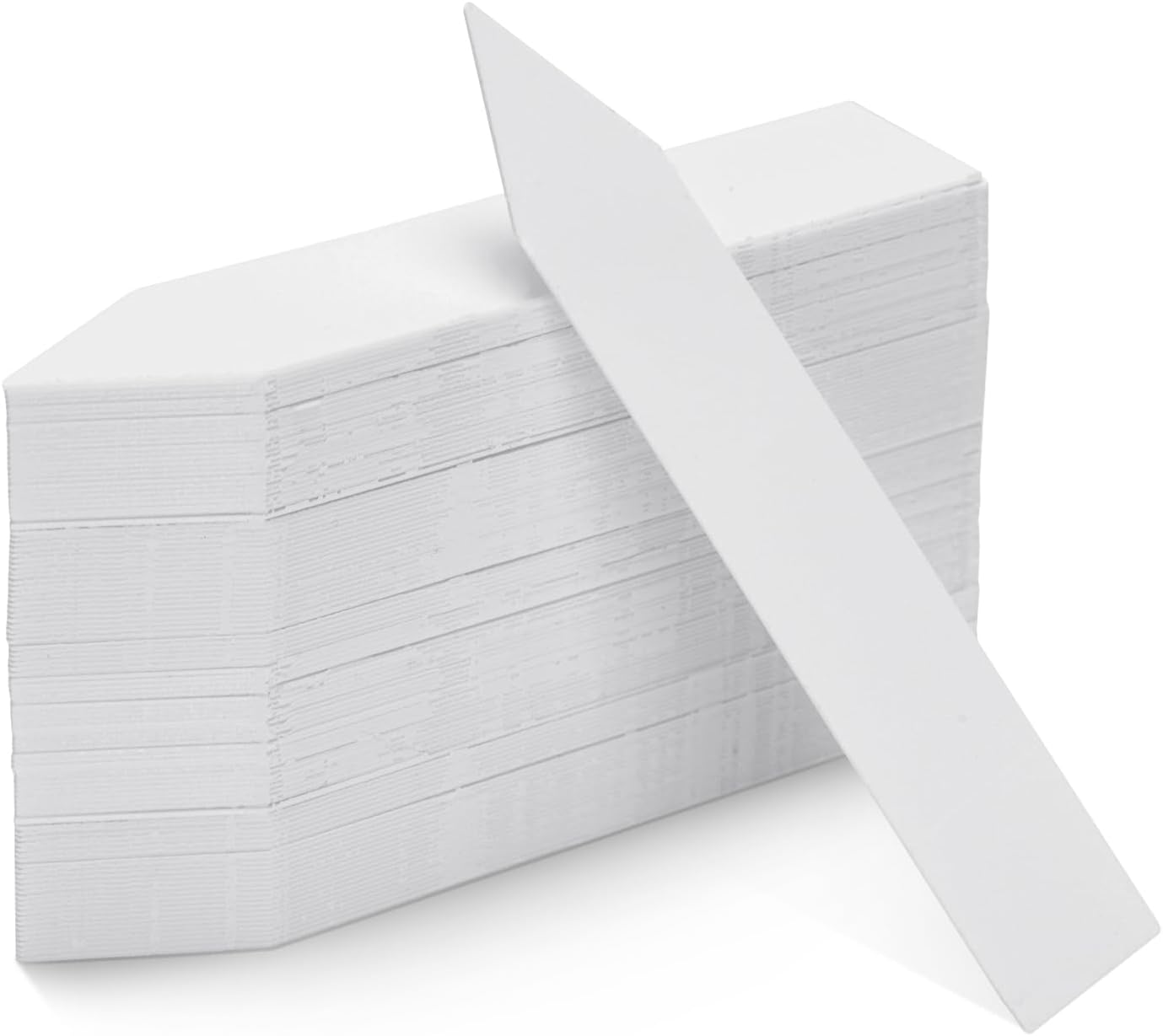 KINGLAKE étiquette plantes 10x2cm 100 pièces