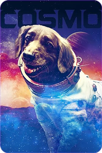 Thumbnail 10 de Guardianes de la Galaxia Vol.3 (4K UHD + Blu-ray) – Divisa Films