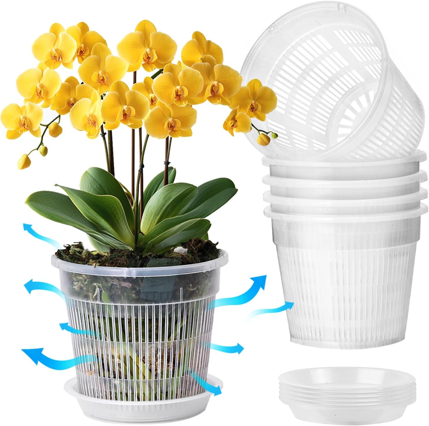 Detalle de T4U PG2947 5.5-Inch Orchid Pots, Clear Slotted Design with Saucers, 6-Pack