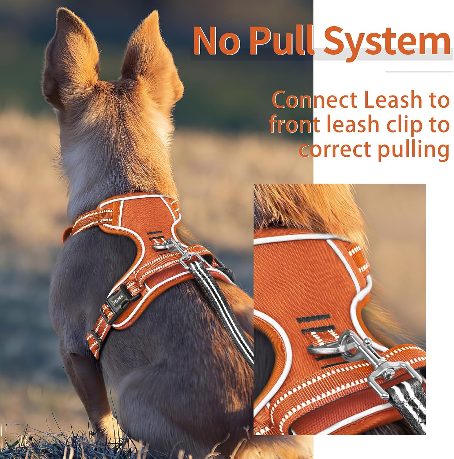 Thumbnail 5 de HEELE Dog Harness for Medium Dogs No Pull Vest Harness with Soft Padded Handle, Reflective, Pumpkin Orange, Size M