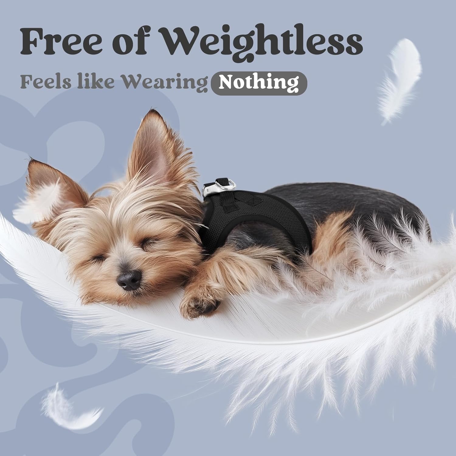Thumbnail 4 de rabbitgoo Small Dog Step-in Soft Mesh Puppy Harness (Reflective Strips) — Size M