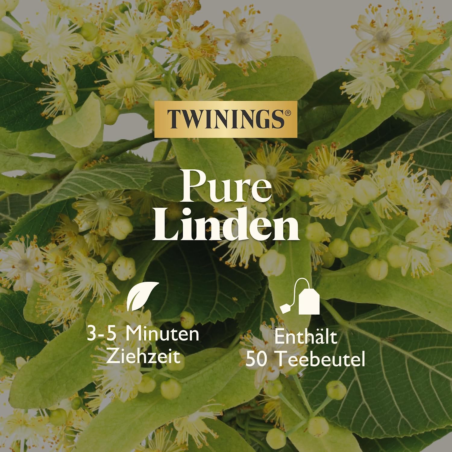 Detalle 2 de Twinings PURE LINDEN 50 Teebeutel đ”