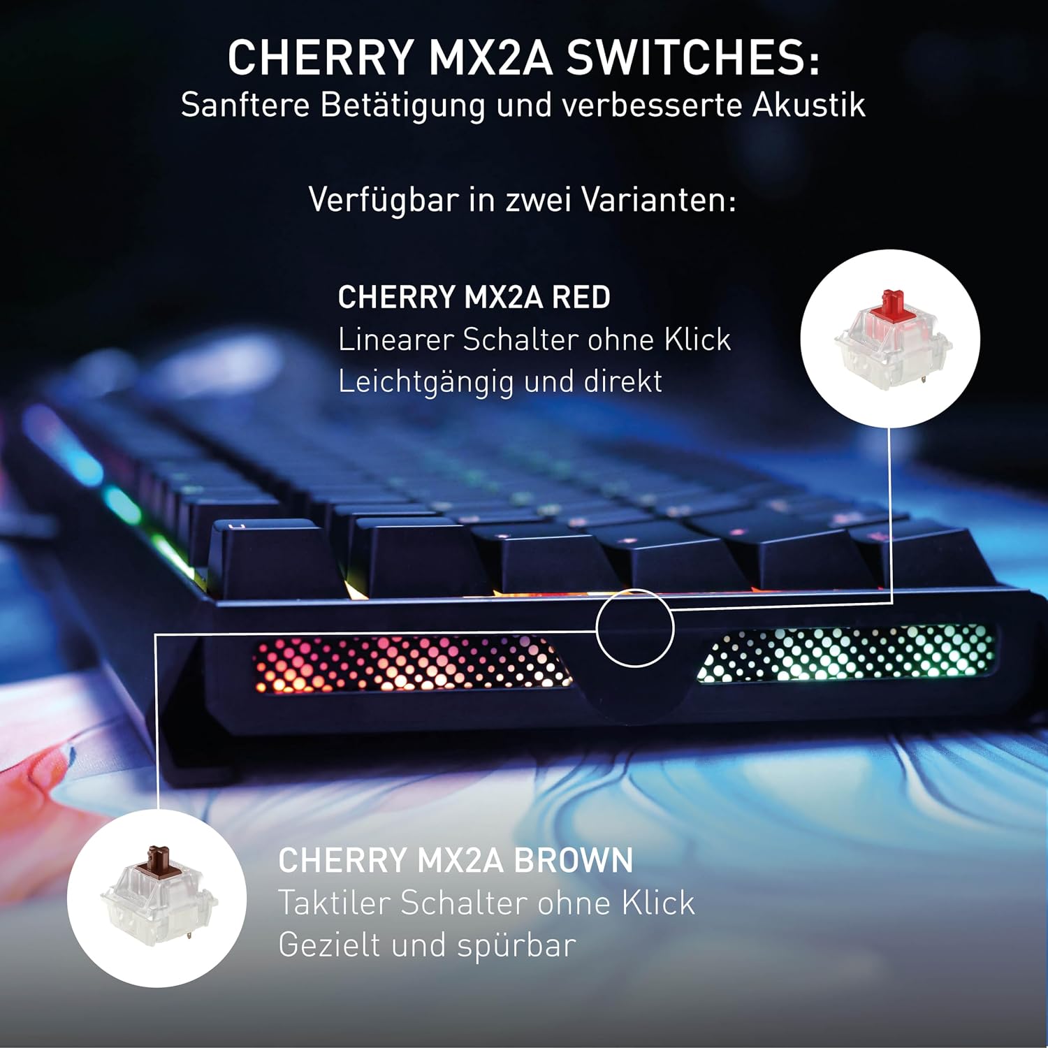 Detalle de CHERRY XTRFY MX 3.1 Gaming Tastatur