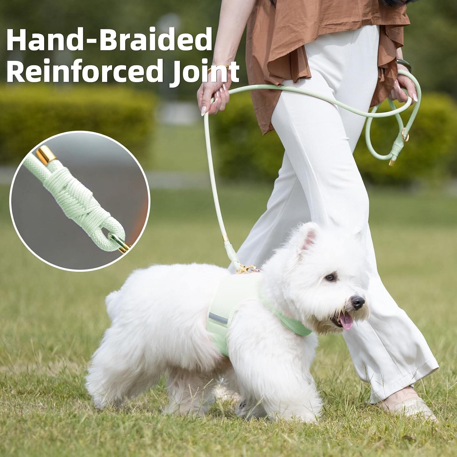 Thumbnail 2 de Sunraymascota Dog Leash, 5FT