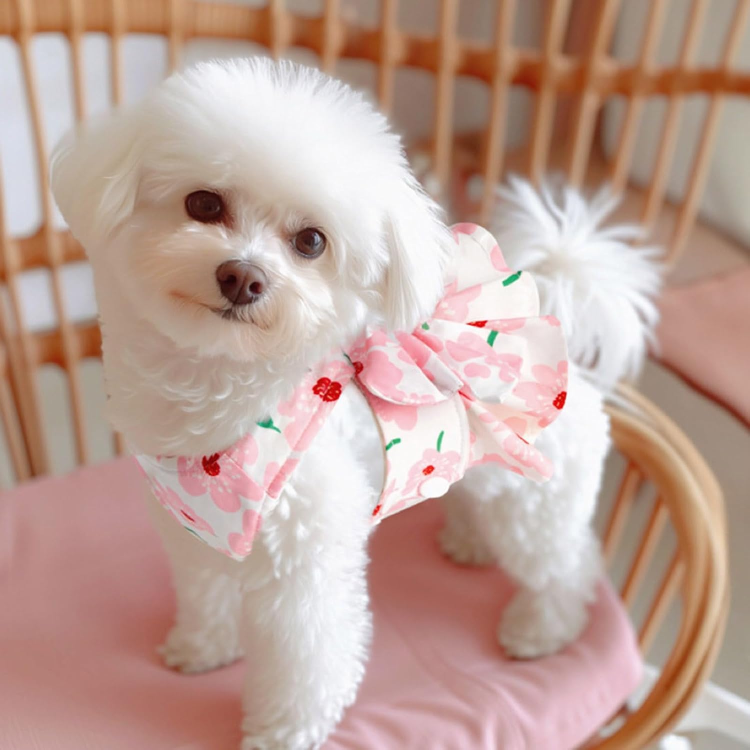 Thumbnail 4 de Ling & Bai Small Dog Harness Dress S