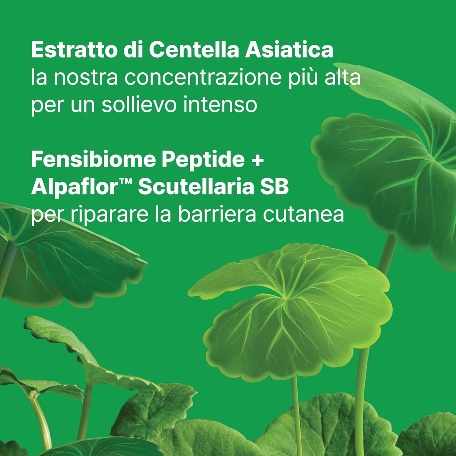 Thumbnail 4 de Dr.Jart+ Cicapair Trattamento Viso - Ripara la barriera cutanea con Centella Asiatica, 30 ml