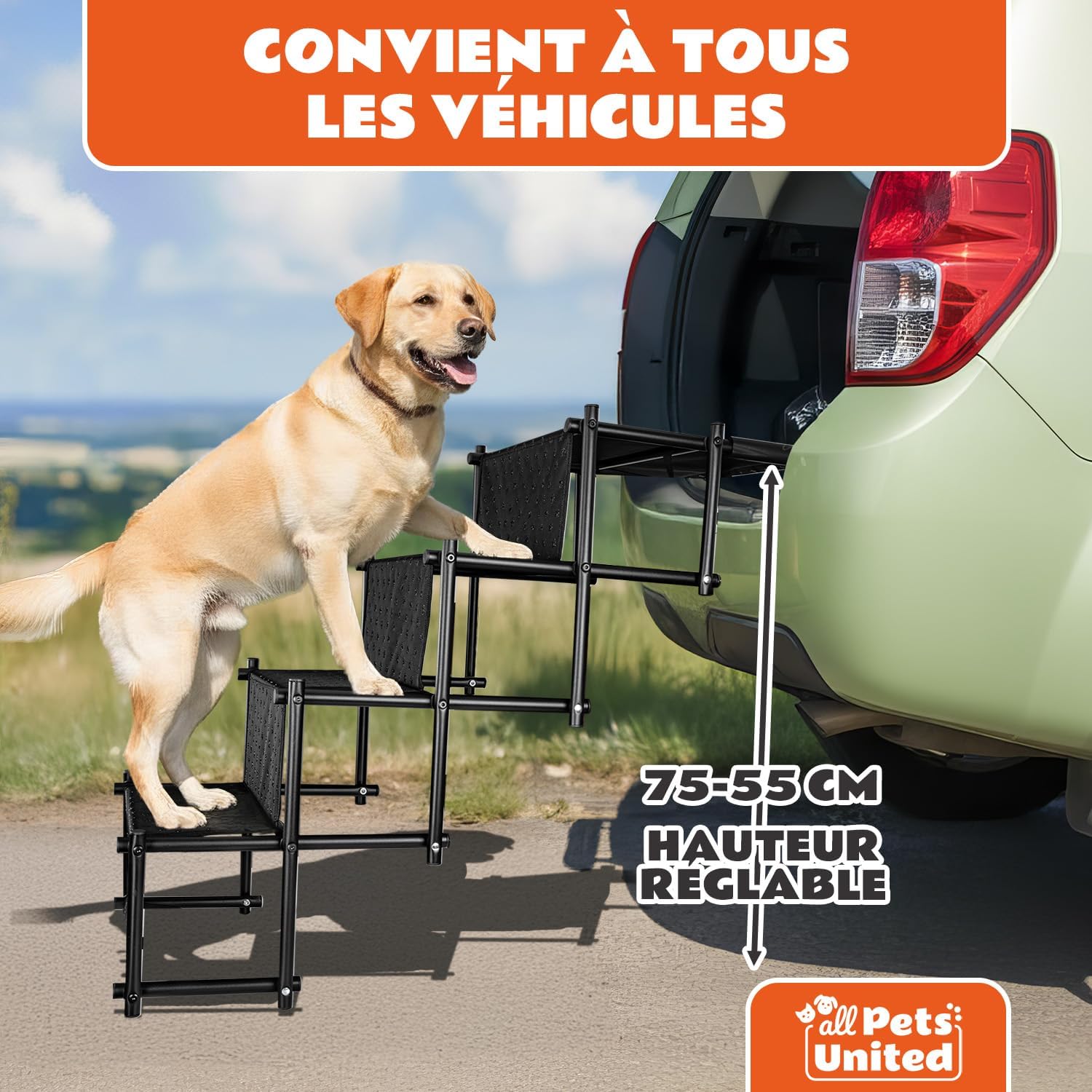 Thumbnail 5 de All Pets United Rampe pliable pour chien et chat – Escalier d’entrée robuste et portable