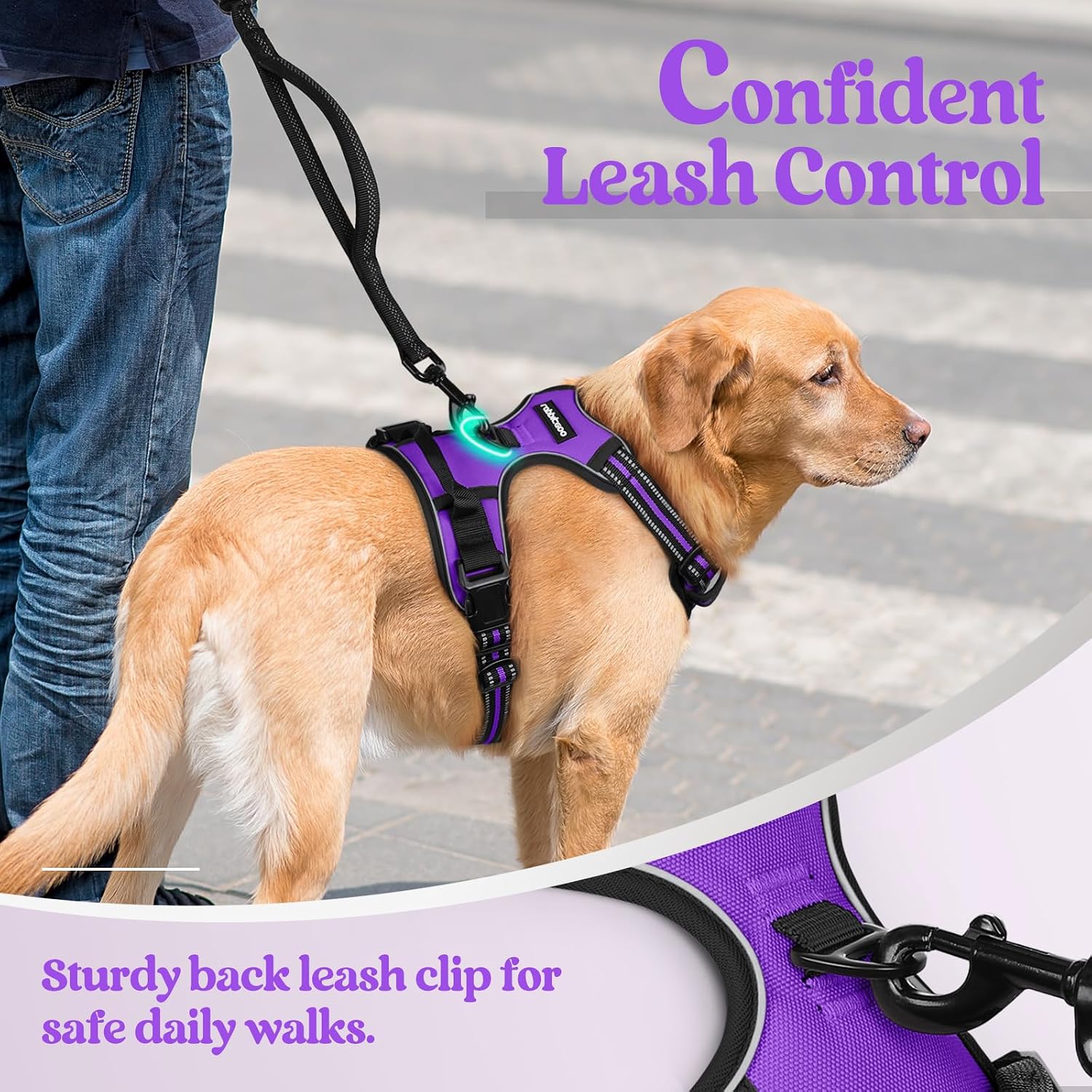 Thumbnail 6 de Rabbitgoo Dog Harness Medium No Pull with 2 Clips and Soft Padded Vest