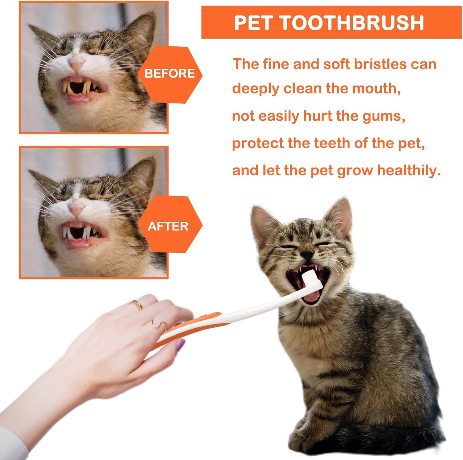 Detalle 1 de Dog Dental Care Set with Beef Toothpaste